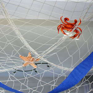 Fischnetz