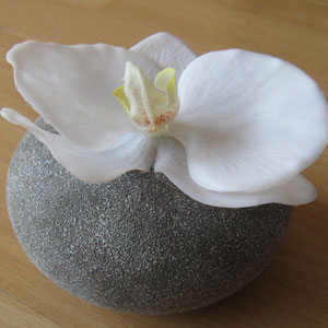 Steinvase mit Orchidee