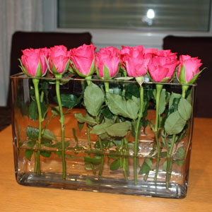 Rosen in einem eckigen Glasgefäß aufgereiht