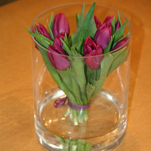 Frühlingsdeko - Tulpen im Glasgefäß